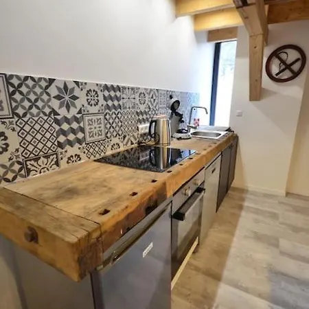 L'etable Apartment Breitenbach-Haut-Rhin
